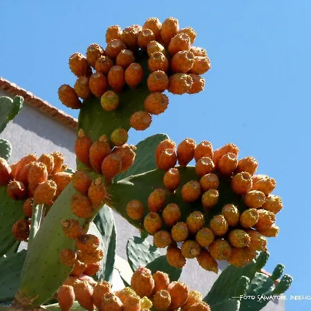 La * Agrigento